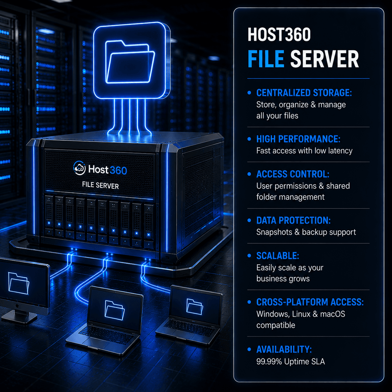 file server